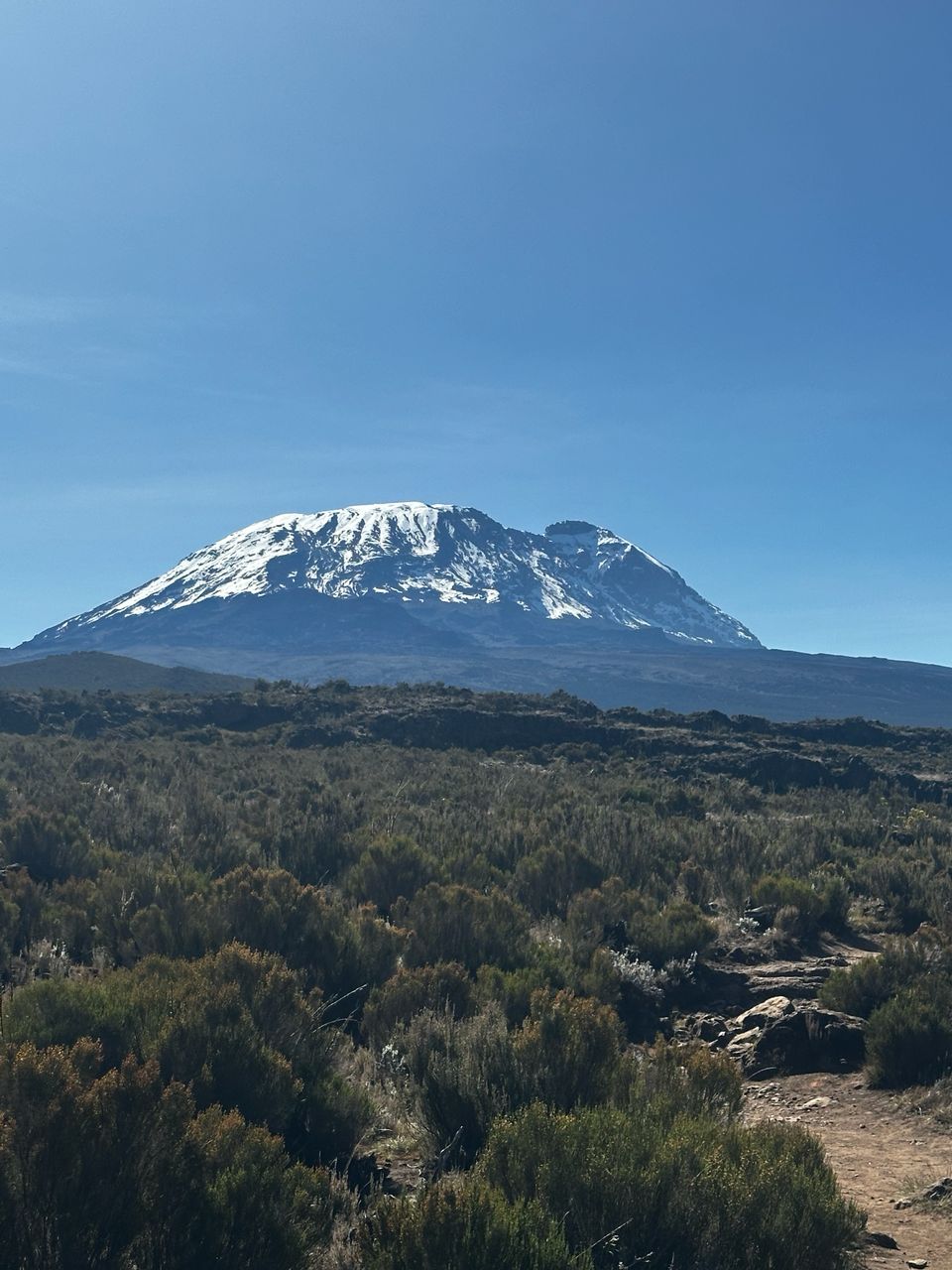 8 Days Lemosho Route - Kilimanjaro