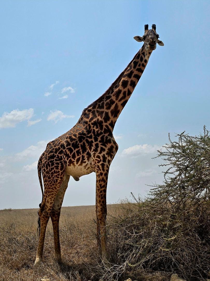 Serengeti National Park