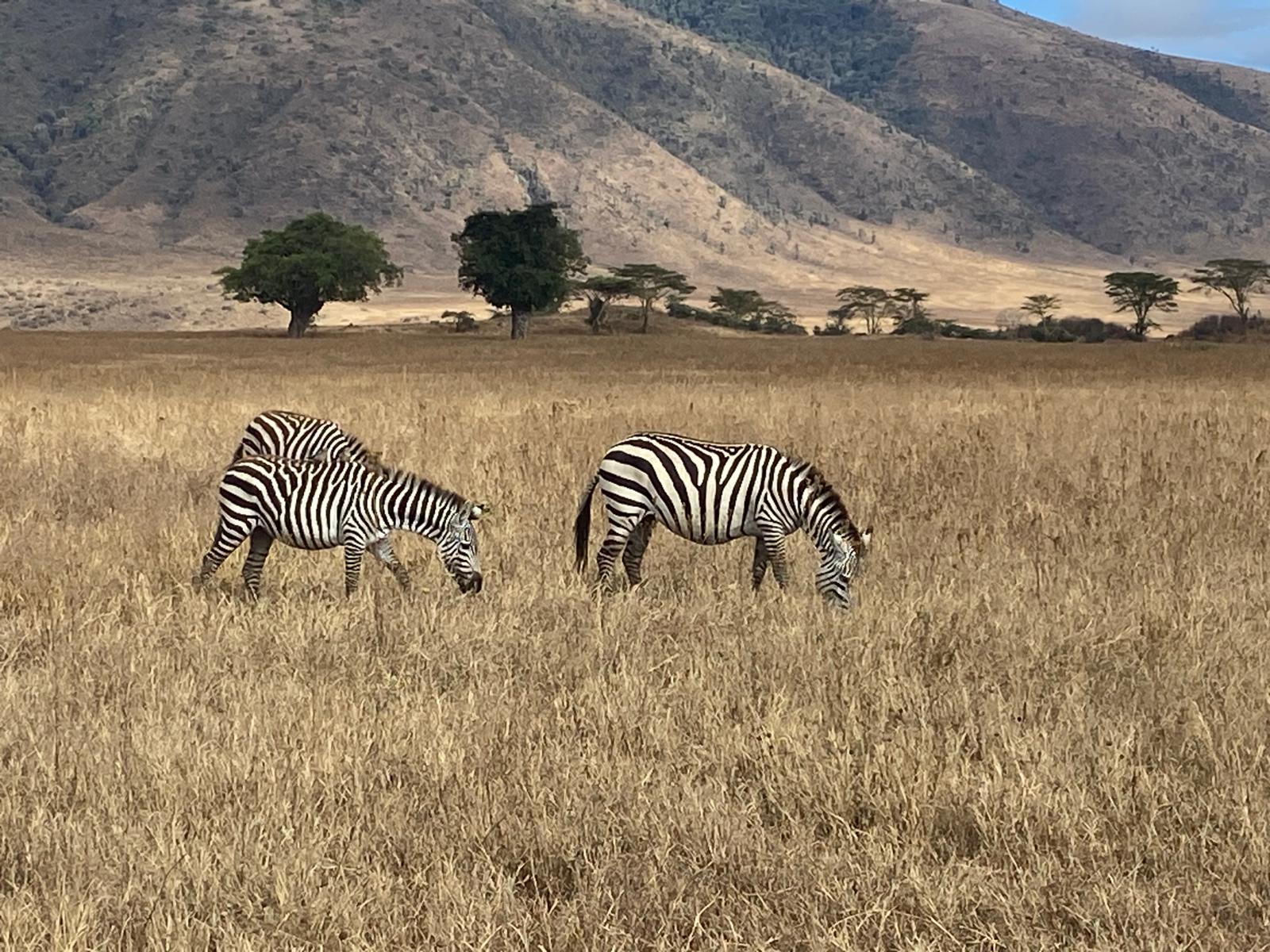 Luxury hot air balloon safari over Serengeti National Park