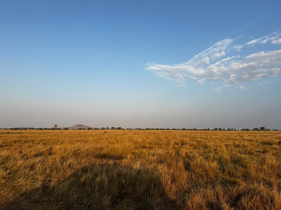 Travelers exploring Olduvai Gorge in Tanzania