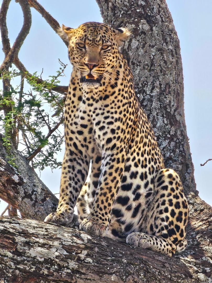 3 Days Big Five Short Escape