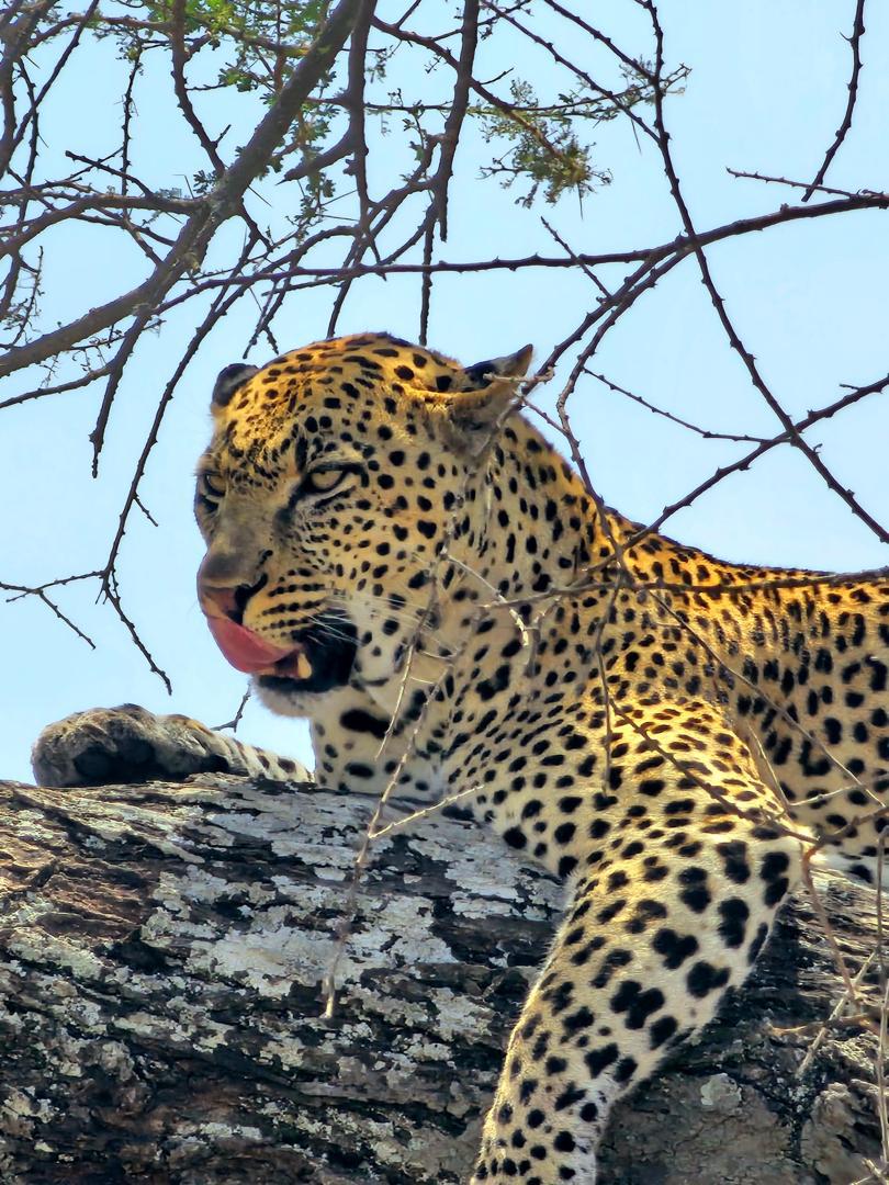 6 Days Exploring the Wonders of Tanzania