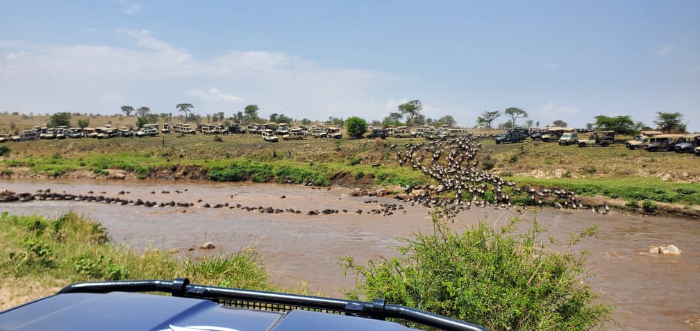 7 Days The Great Migration Safari